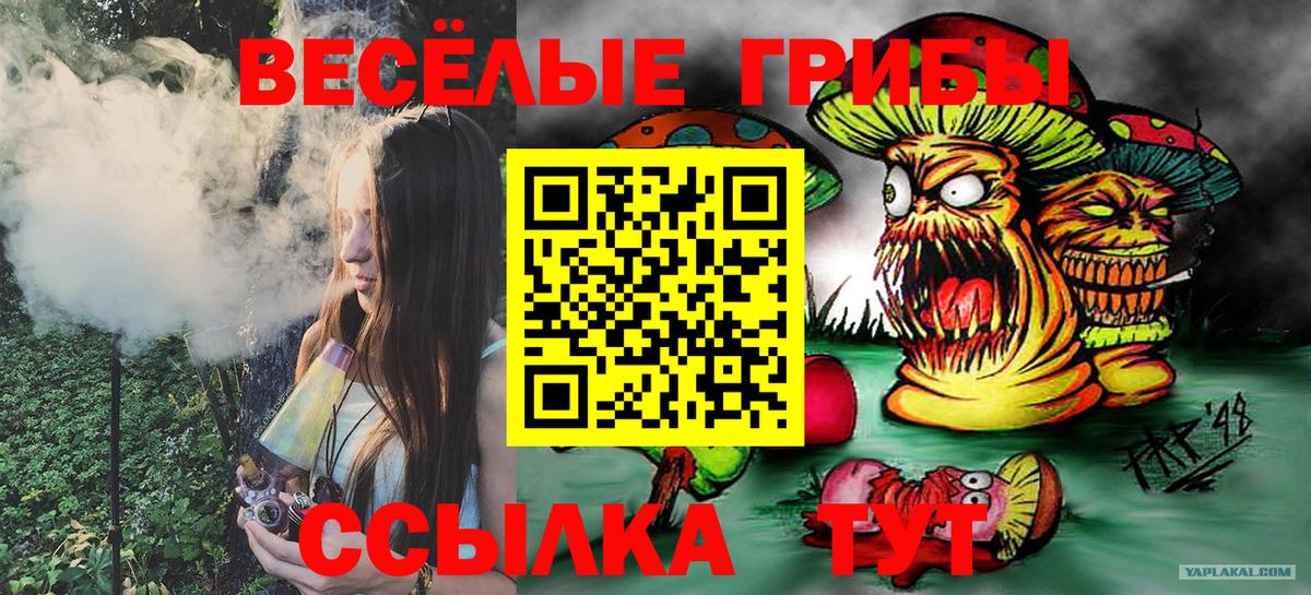 Галлюциногенные грибы Psilocybine cubensis Таганрог