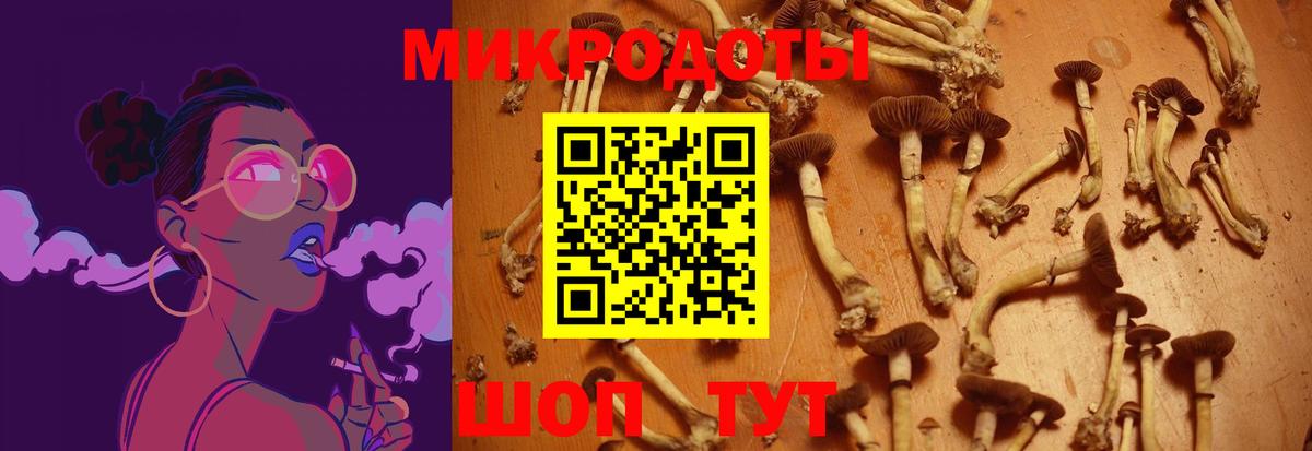 Таганрог  Галлюциногенные грибы ЛСД  Вход с VPN  Галлюциногенные грибы Cubensis 